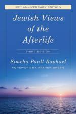 Jewish Views of the Afterlife af Simcha Paull Raphael