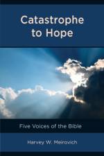 Catastrophe to Hope af Harvey W. Meirovich