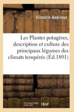 Les Plantes Potageres, Description Et Culture Des Principaux Legumes Des Climats Temperes af Vilmorin-Andrieux