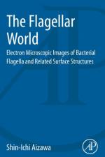The Flagellar World af Shin-Ichi (Prefectural University of Hiroshima Aizawa