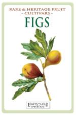 Figs af C Thornton