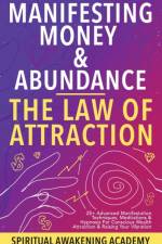Manifesting Money & Abundance Blueprint - The Law Of Attraction