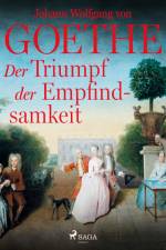 Der Triumpf der Empfindsamkeit af Johann Wolfgang von Goethe F