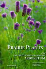 Prairie Plants of the University of Wisconsin-Madison Arboretum af Theodore S. Cochrane