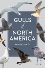 Gulls of North America af Fred Shaffer