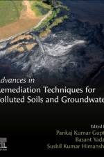Advances in Remediation Techniques for Polluted Soils and Groundwater