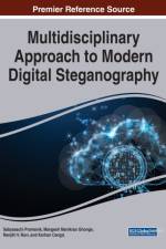 Multidisciplinary Approach to Modern Digital Steganography