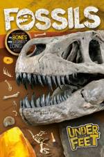 Fossils