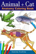 Animal & Cat Anatomy Coloring Book af Anatomy Academy