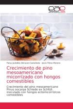 Crecimiento de pino mesoamericano micorrizado con hongos comestibles af Patsy Jackeline Almazan-Castaneda