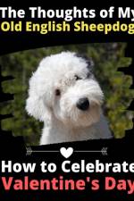 Thoughts of My Old English Sheepdog af Brightview Activity Books