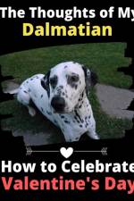 Thoughts of My Dalmatian af Brightview Activity Books