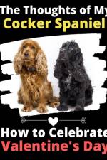 Thoughts of My Cocker Spaniel af Brightview Activity Books