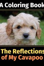 Reflections of My Cavapoo af Brightview Activity Books