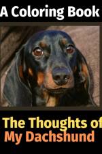 Reflections of My Dachshund af Brightview Activity Books