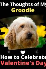 Thoughts of My Groodle af Brightview Activity Books