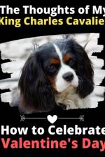 Thoughts of My King Charles Cavalier af Brightview Activity Books