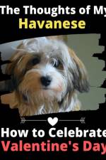 Thoughts of My Havanese af Brightview Activity Books