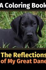 Reflections of My Great Dane af Brightview Activity Books