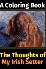 Thoughts of My Irish Setter af Brightview Activity Books