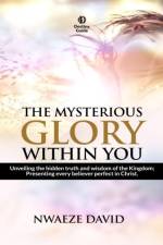 The Mysterious Glory Within You af David Nwaeze David