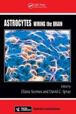 Astrocytes