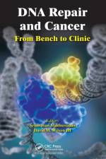 DNA Repair and Cancer