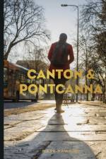 Canton and Pontcanna af Mark Hawkins