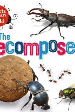 The Insects that Run Our World: The Decomposers af Sarah Ridley