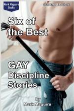 Six of the Best GAY Discipline Stories af Mark Maguire
