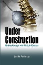 Under Construction af Leslie Anderson