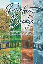Perfect Bridge af JoAnn Dekker