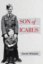 Son of Icarus af David Wildish