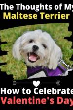Thoughts of My Maltese Terrier af Brightview Activity Books