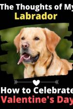 Thoughts of My Labrador af Brightview Activity Books