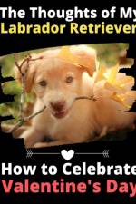 Thoughts of My Labrador Retriever af Brightview Activity Books