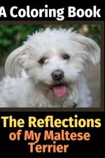 Reflections of My Maltese Terrier af Brightview Activity Books
