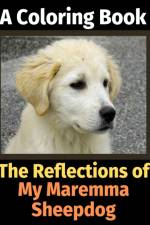 Reflections of My Maremma Sheepdog af Brightview Activity Books