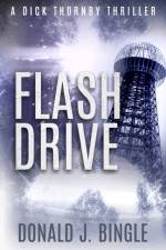 Flash Drive af Donald J Bingle