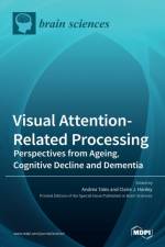 Visual Attention-Related Processing