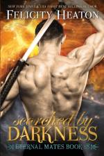 Scorched by Darkness af Felicity Heaton