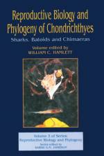 Reproductive Biology and Phylogeny of Chondrichthyes