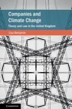 Companies and Climate Change af Lisa Benjamin
