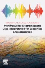 Multifrequency Electromagnetic Data Interpretation for Subsurface Characterization af Siddharth (Associate Professor Misra