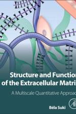 Structure and Function of the Extracellular Matrix af Bela (Professor of Biomedical Engineering Suki