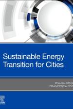 Sustainable Energy Transition for Cities af Miguel (Associate Professor Amado