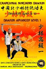 Shaolin Advanced Level 1 af Bernd Hoehle