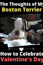 Thoughts of My Boston Terrier af Brightview Activity Books