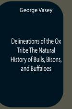 Delineations Of The Ox Tribe The Natural History Of Bulls, Bisons, And Buffaloes. Exhibiting All The Known Species And The More Remarkable Varieties Of The Genus Bos. af George Vasey