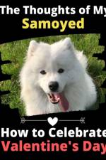 Thoughts of My Samoyed af Brightview Activity Books